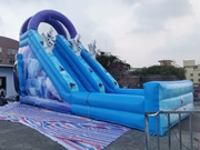 inflatable Frozen Elsa slide