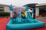 inflatable Frozen water slide