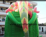 Inflatable Slide