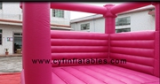 inflatable mini bounce