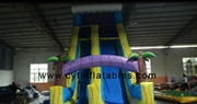 inflatable water slide