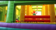 inflatable bouncer