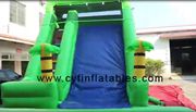 Inflatable Slide