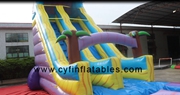 inflatable water slide